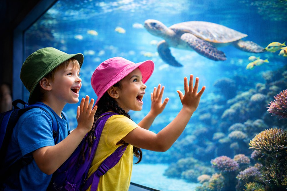 Excited children pressing their hands against aquarium glass at a zoo exhibit